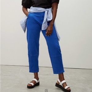 Everlane Utility Barrel Pant